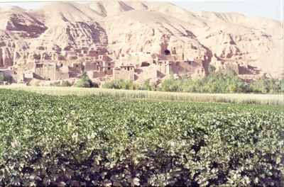 Bamiyan-cave-dwellings.jpg