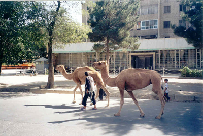 Central-Kabul.jpg